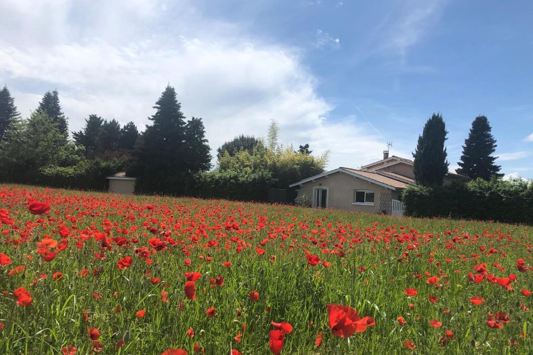 Photo of Others in Saint-Georges-d'Esperanche