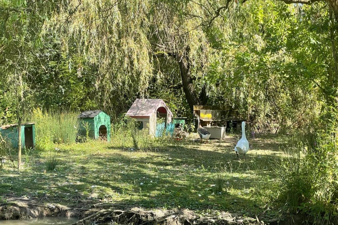 Photo of Others in Bords