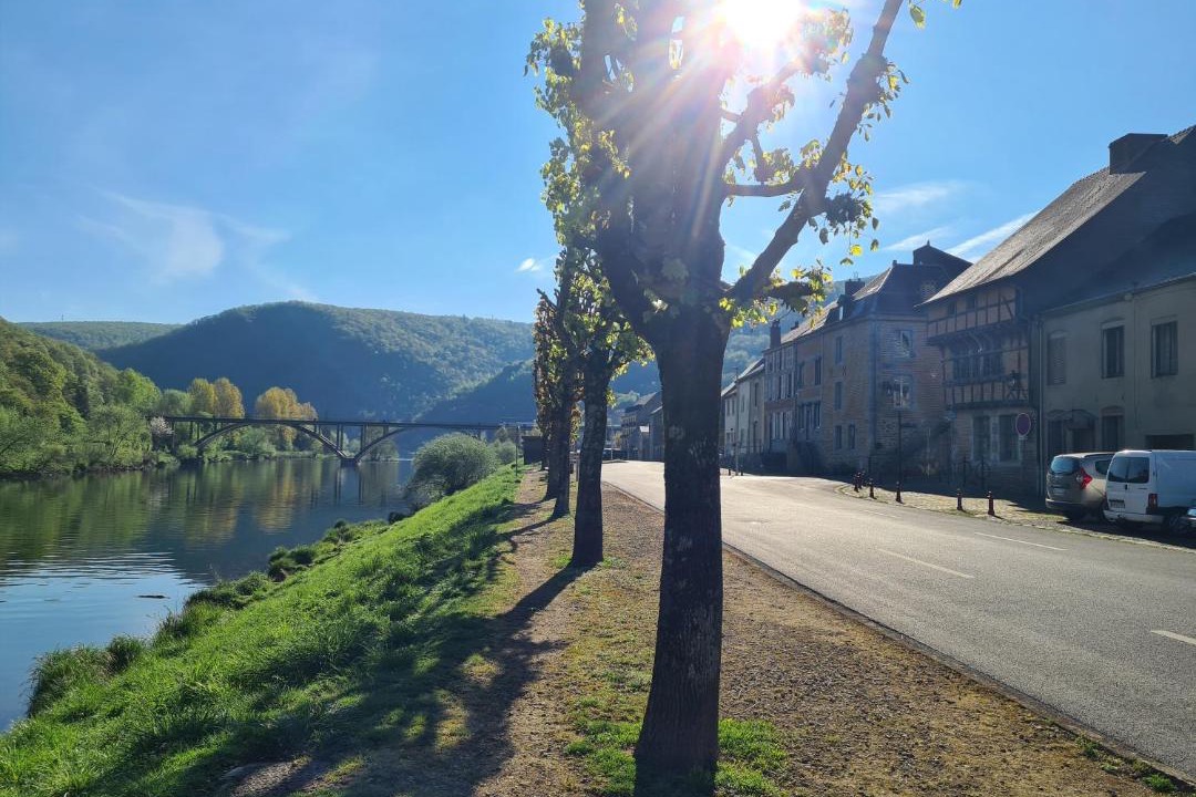 Photo of Others in Revin