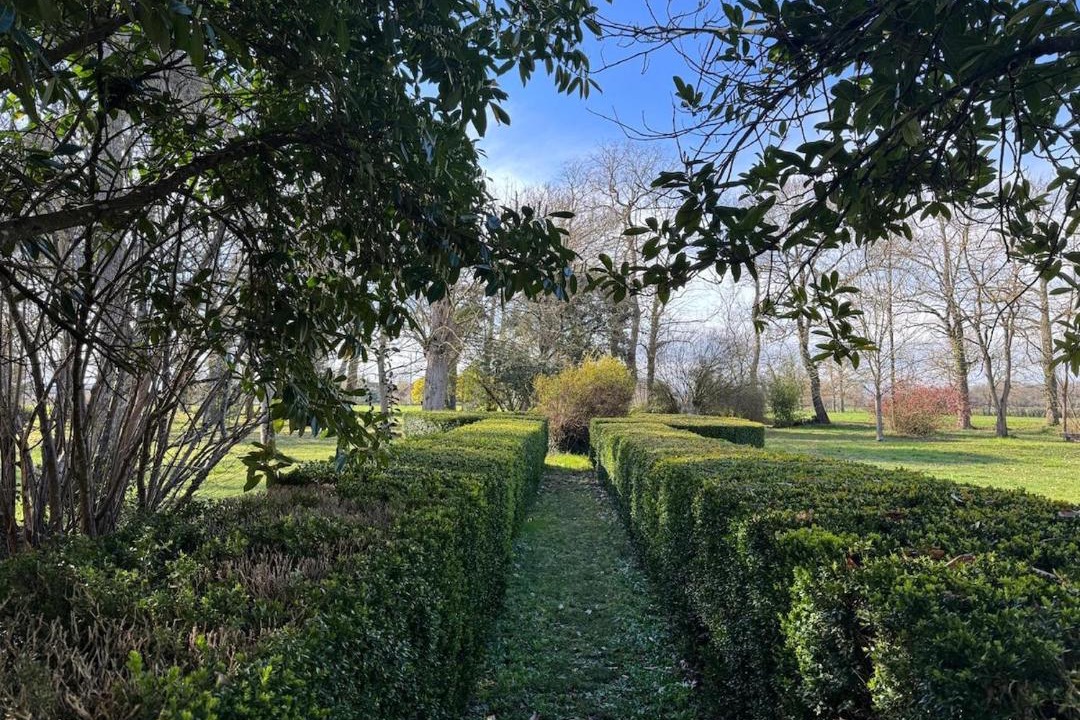 Photo of Others in Saint-Elix-le-Chateau