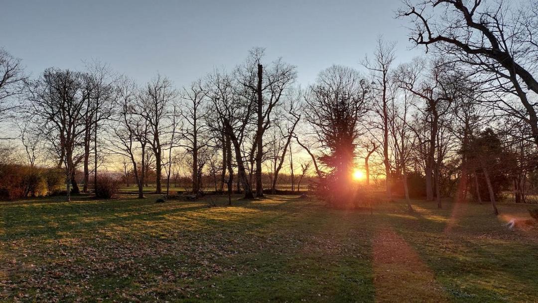 Photo of Others in Saint-Elix-le-Chateau