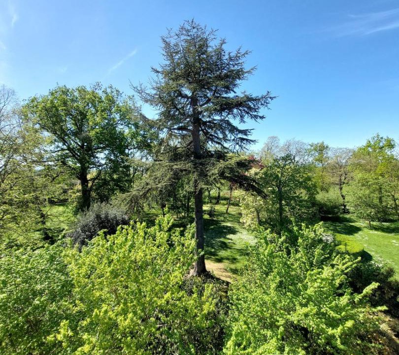 Photo of Others in Saint-Elix-le-Chateau