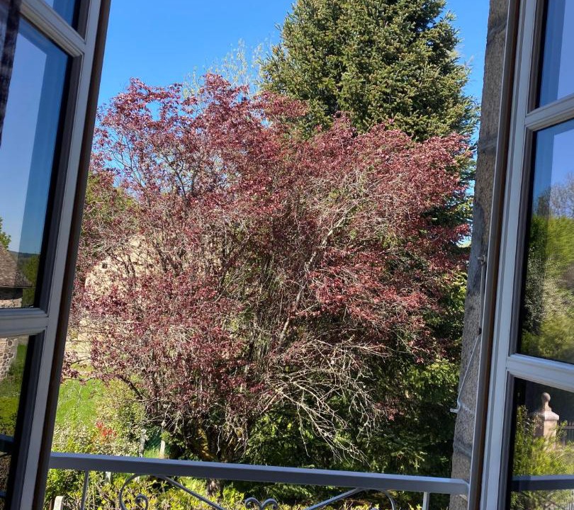 Photo of Others in Rilhac-Xaintrie