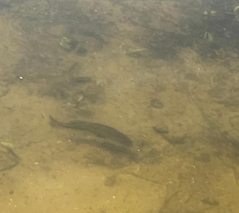 Photo of Others in Deedsville
