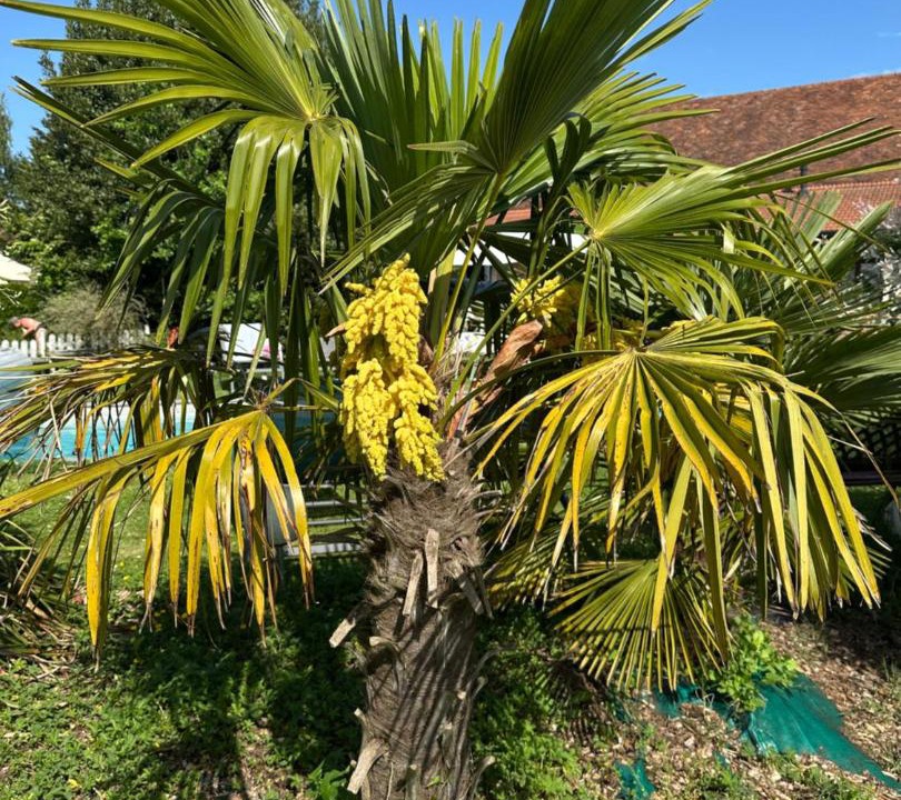 Photo of Outdoor in Louhans