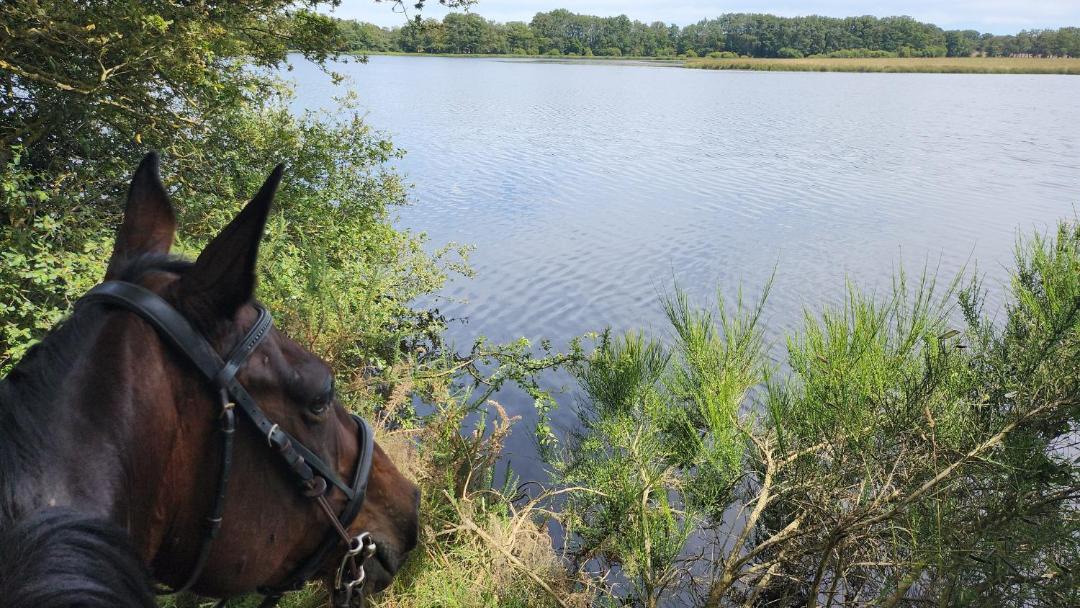 Photo of Others in Saint-Martin-le-Mault