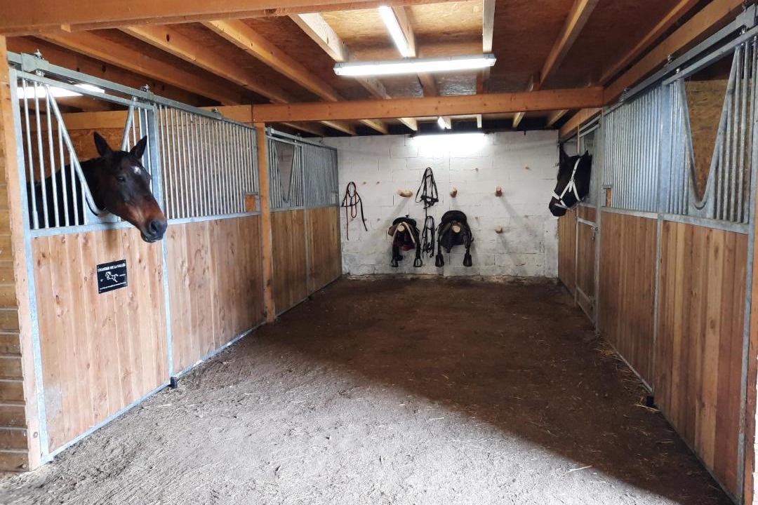 Photo of Others in Saint-Martin-le-Mault