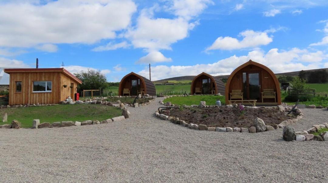 Photo of Others in Ardgay