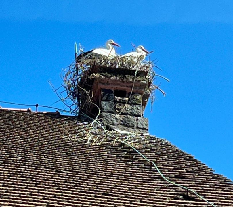 Photo of Others in Oberbronn