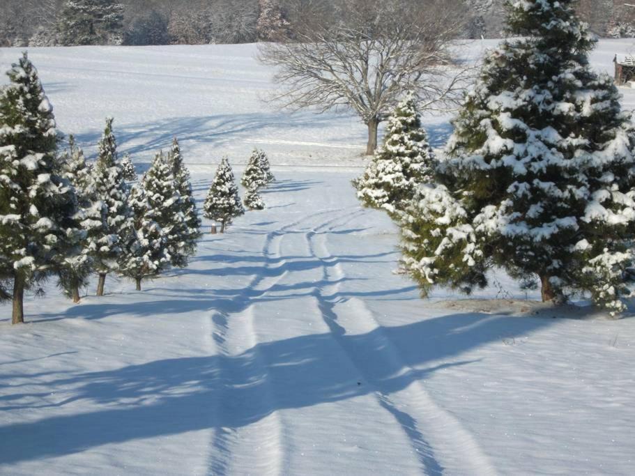 Photo of Others in Cecil