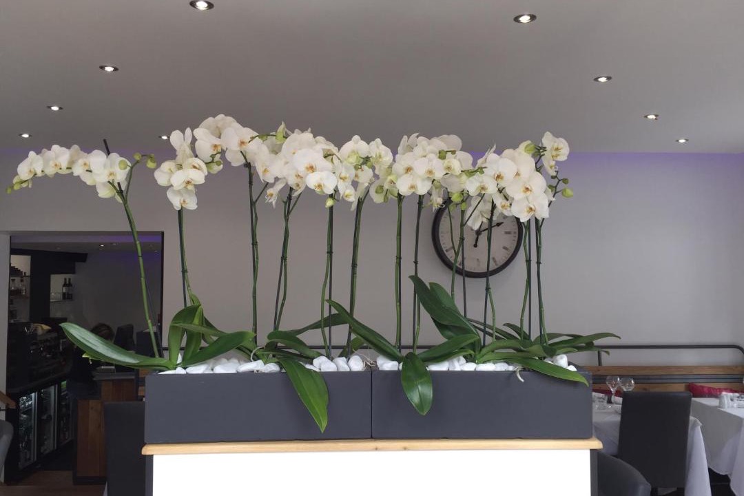 Photo of Others in Houlgate