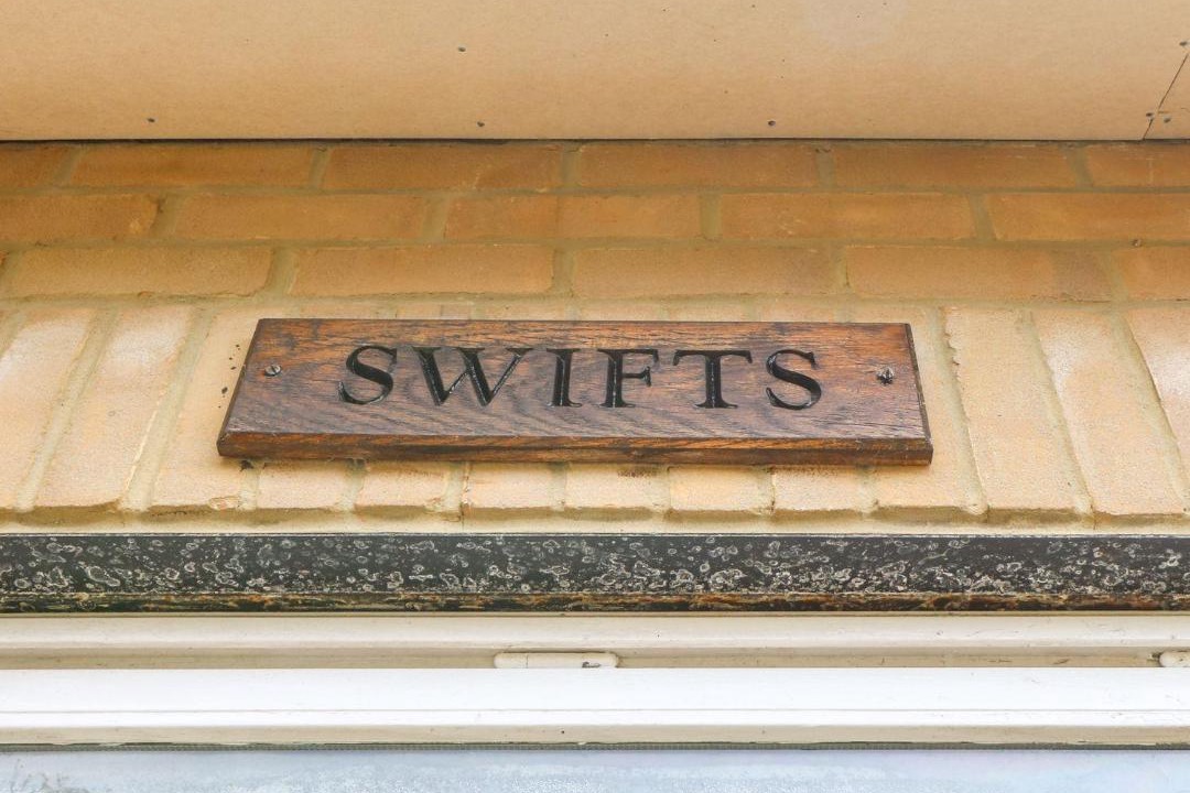 Photo of Others in Ventnor