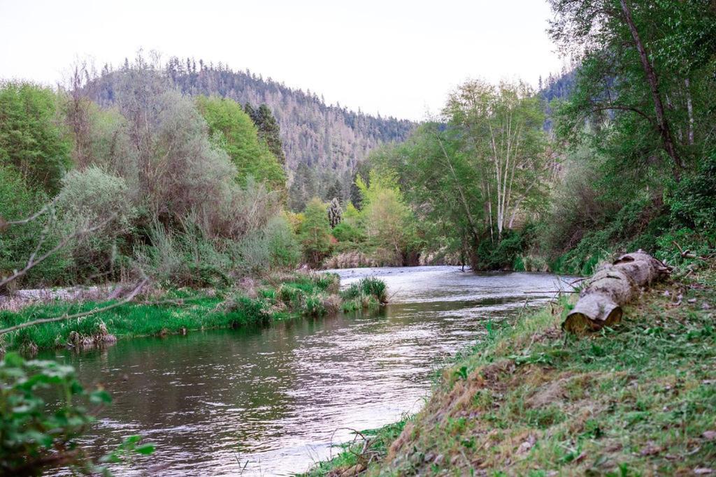 Photo of Others in Murphy