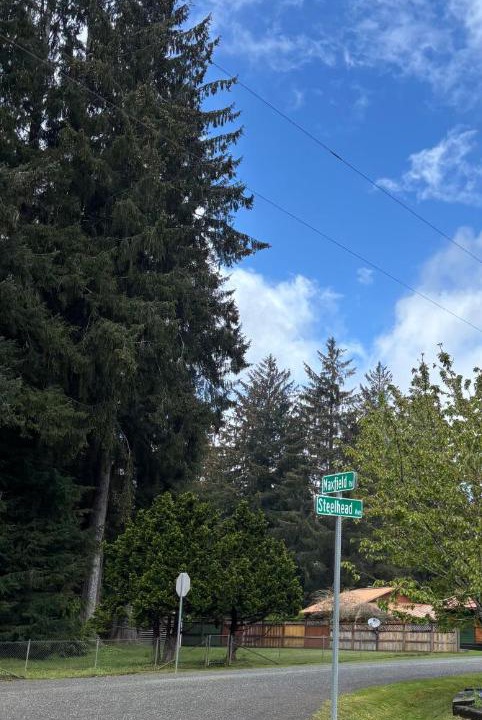 Photo of Others in Beaver