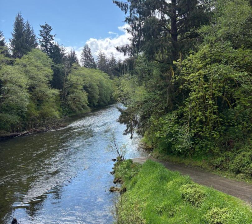 Photo of Others in Beaver