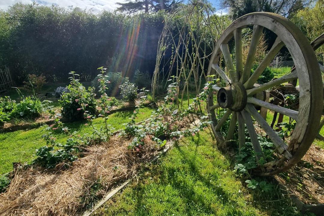 Photo of Others in Chambord
