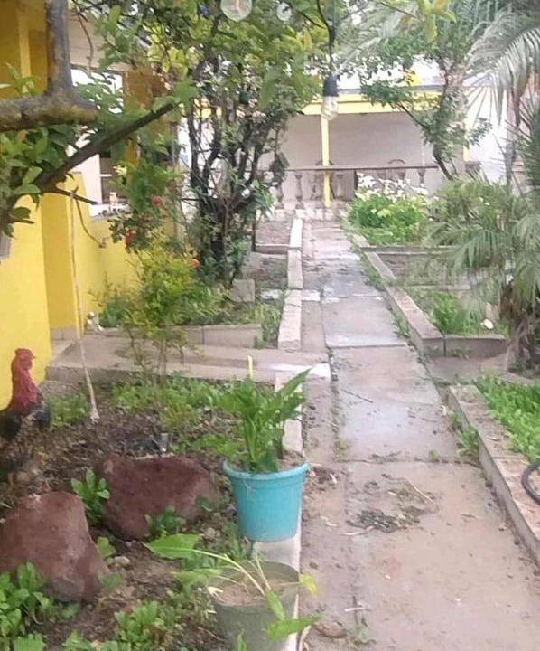 Photo of Others in La Joya