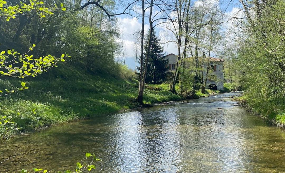 Photo of Others in Montastruc-de-Salies