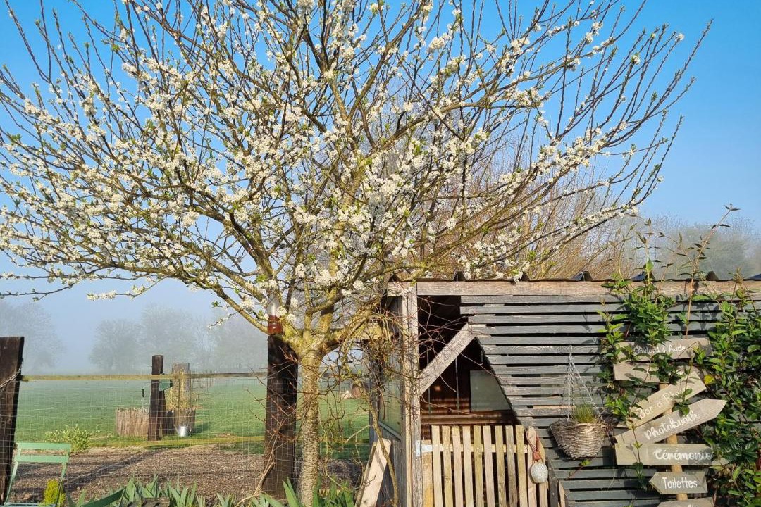 Photo of Others in Chambord