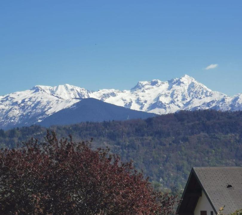 Photo of Others in Cruet