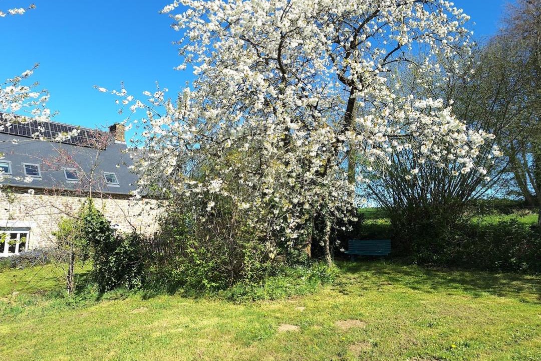 Photo of Others in Melle