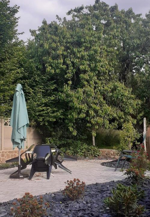 Photo of Outdoor in Melle