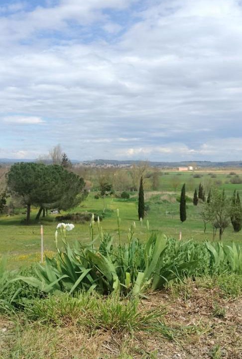 Photo of Others in Montels