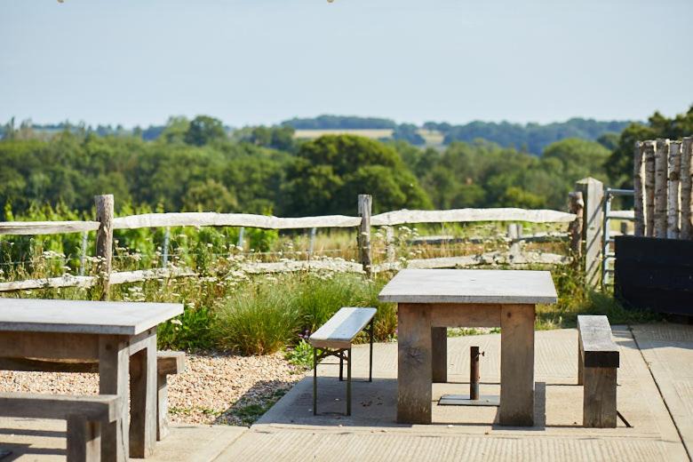 Photo of Others in Rye