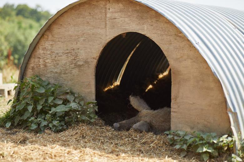 Photo of Others in Rye