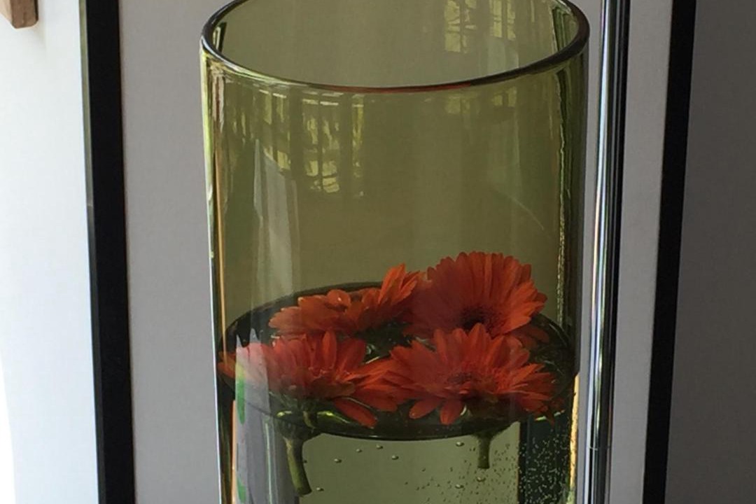 Photo of Others in Houlgate