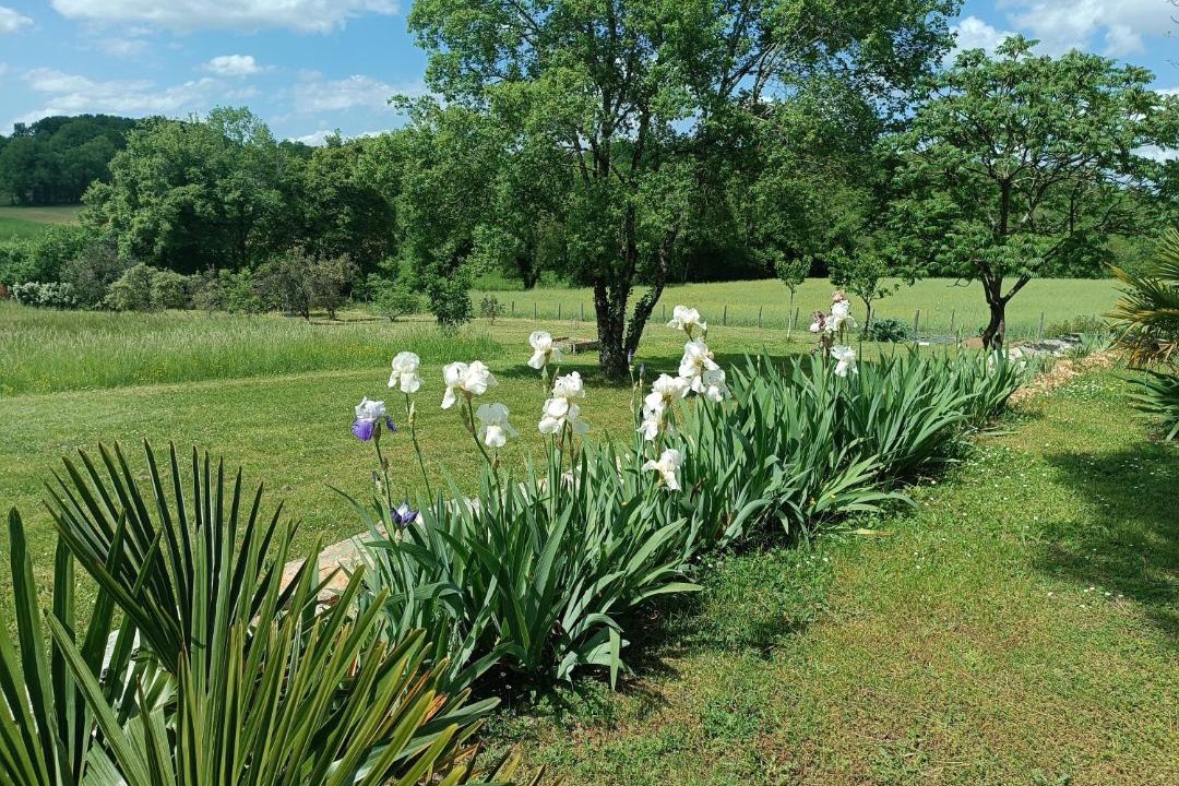 Photo of Others in Eyzerac