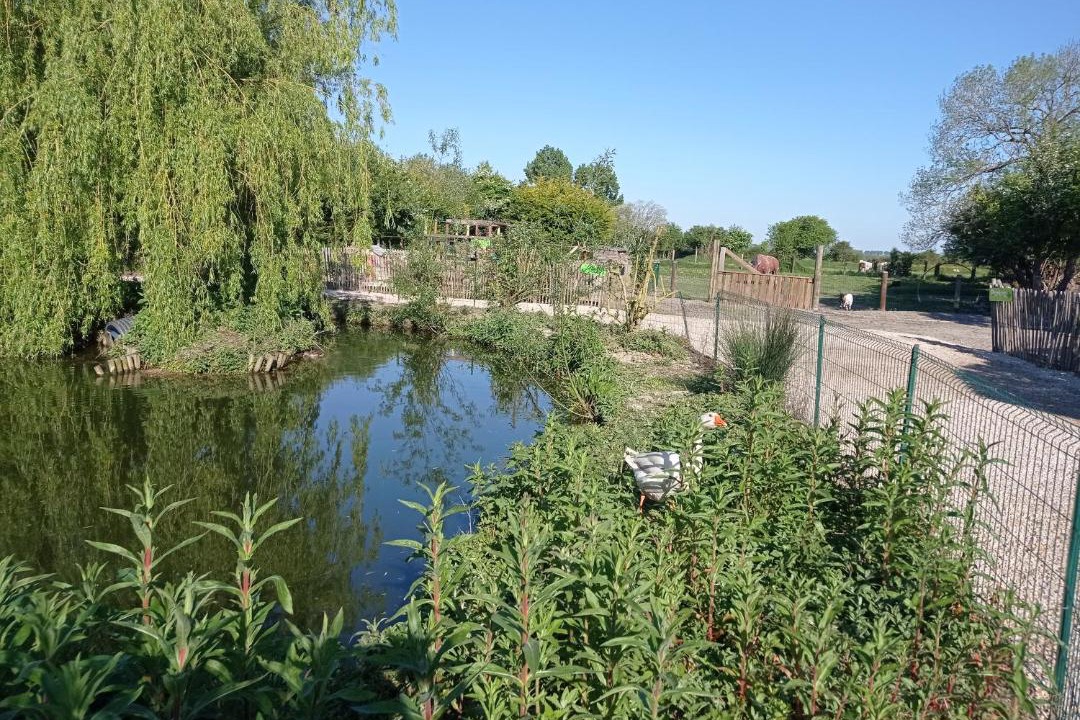 Photo of Others in Pontorson