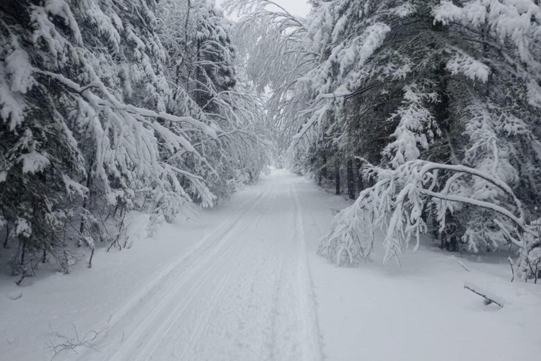 Photo of Others in Lac Saint-Jean - Saguenay