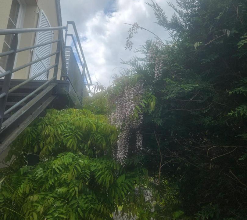 Photo of Others in Lamotte-Beuvron