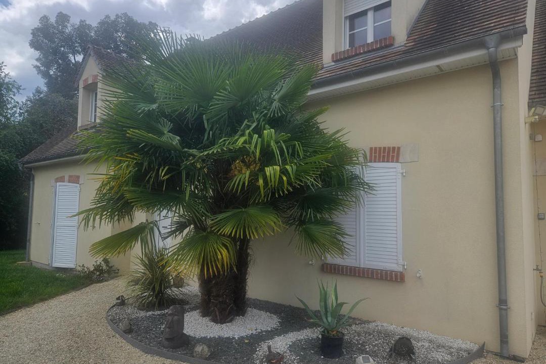 Photo of Others in Lamotte-Beuvron