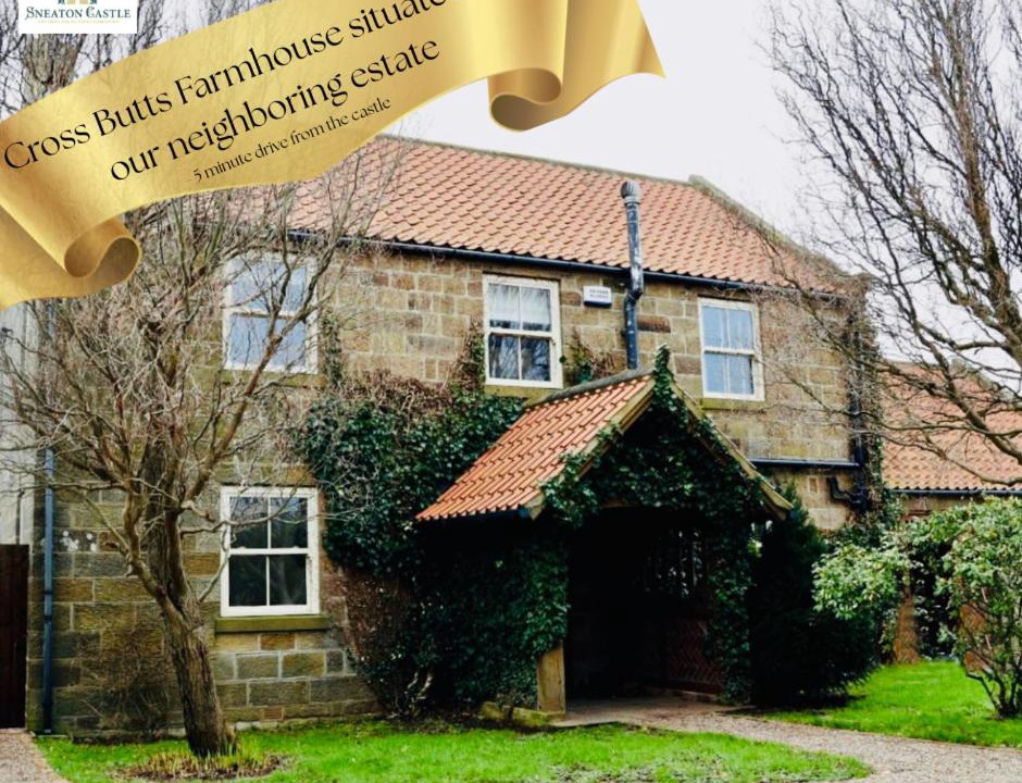 Photo of Others in Whitby