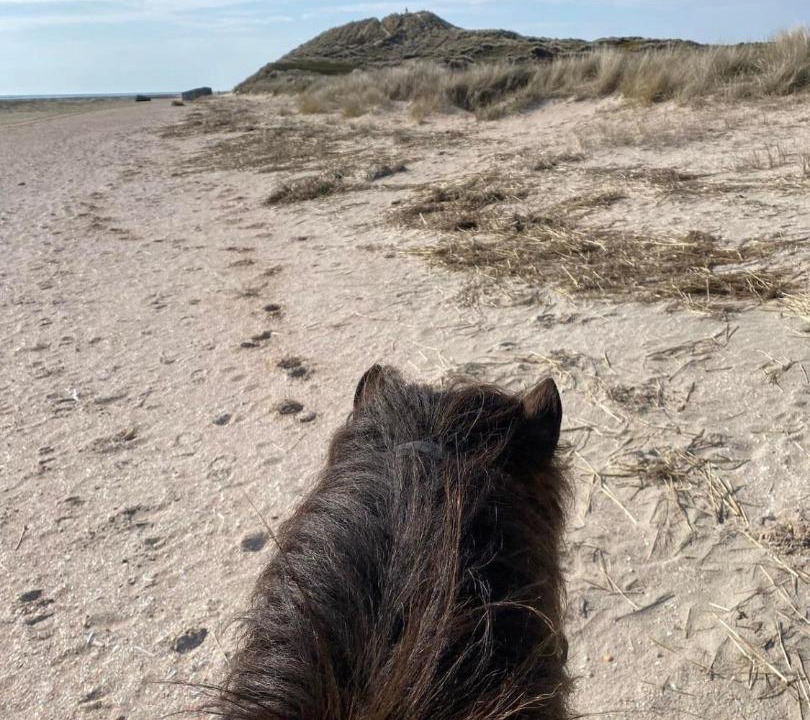 Photo of Others in Sonderho