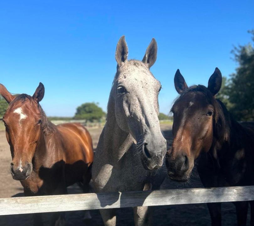 Photo of Others in Sonderho