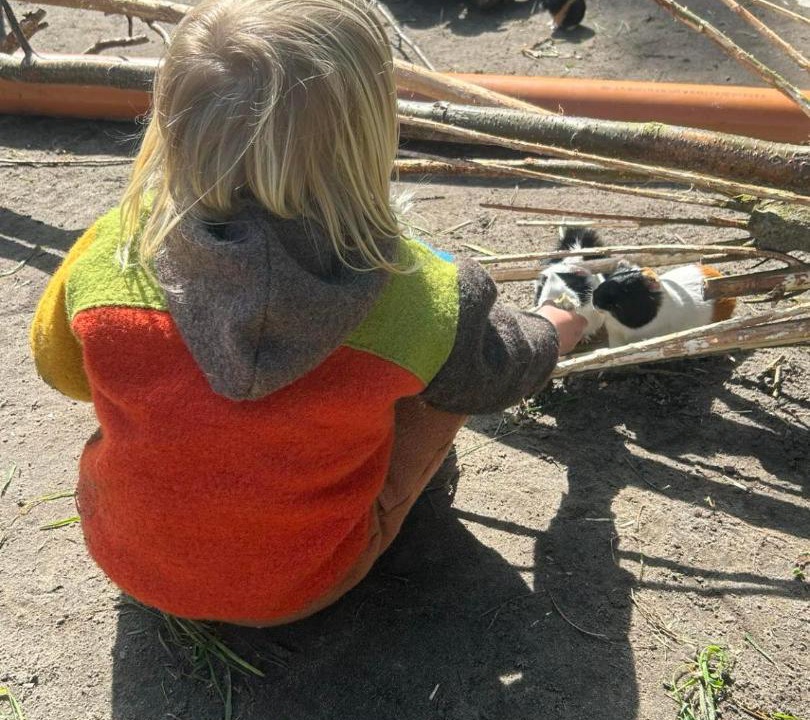 Photo of Others in Sonderho