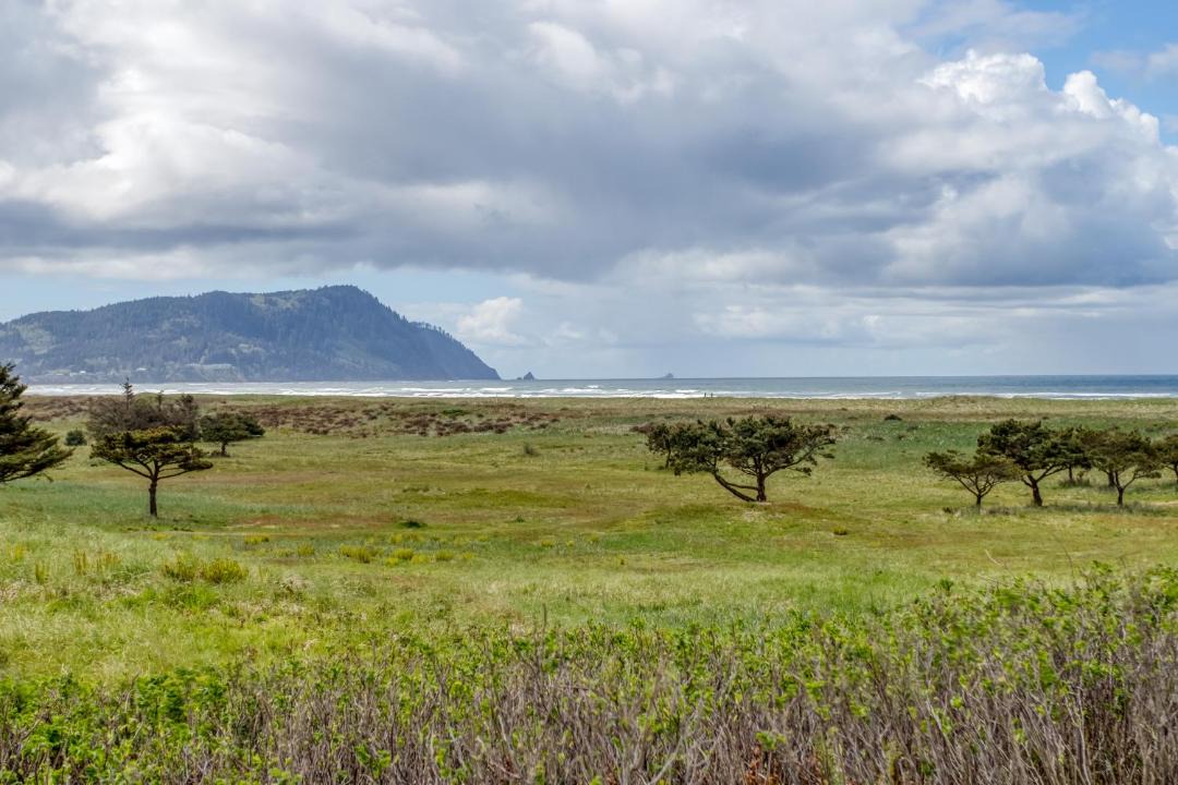 Photo of Others in Gearhart