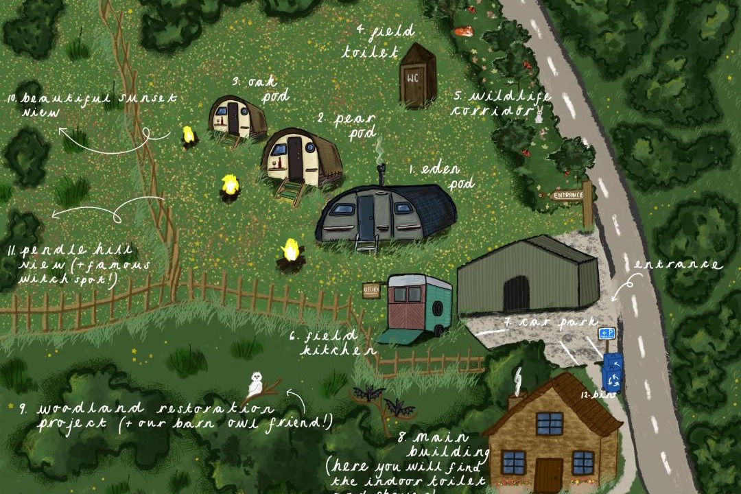 Photo of Others in Fence