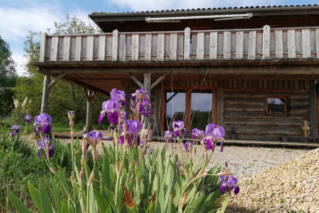 Photo of Others in Orconte