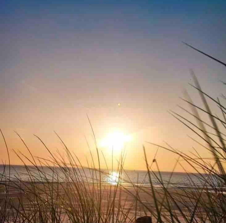 Photo of Others in Attin