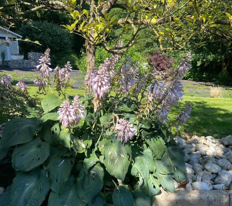 Photo of Outdoor in Attin