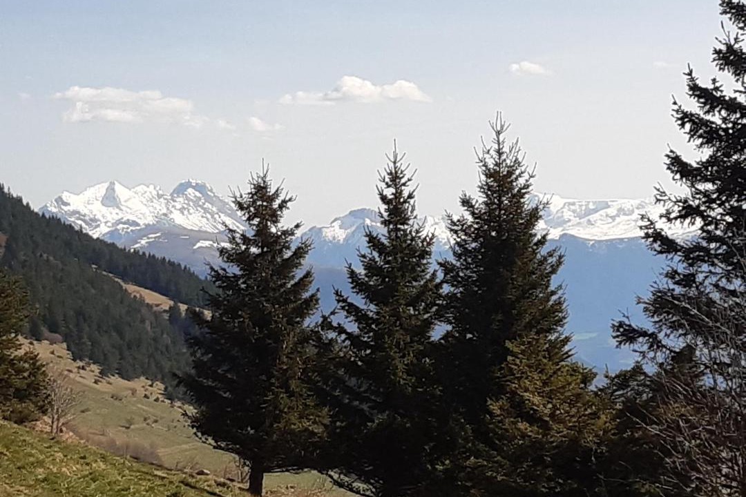 Photo of Others in Saint-Honore