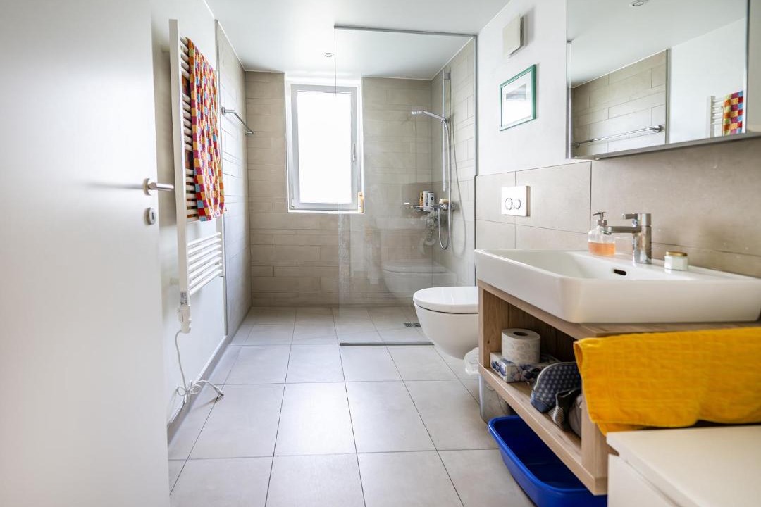 Photo of Bathroom in Schneisingen
