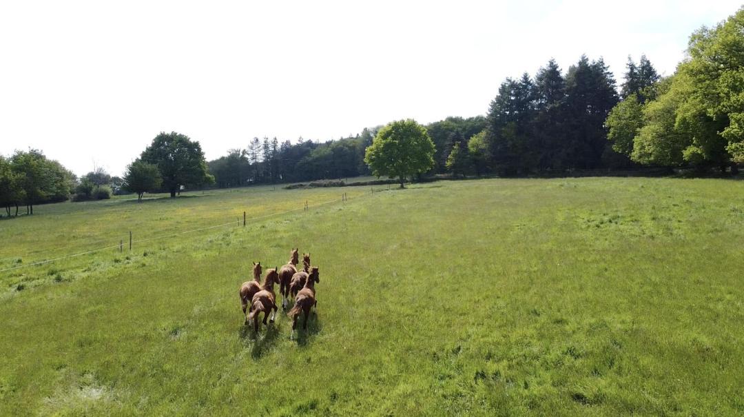 Photo of Others in Paimpont