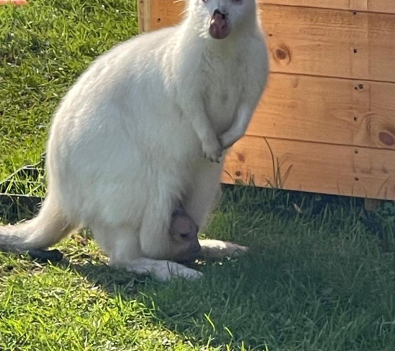 Photo of Others in Kilwinning