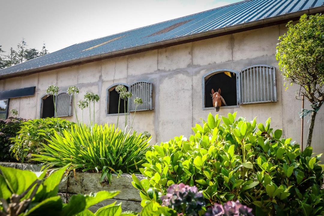 Photo of Others in Paimpont