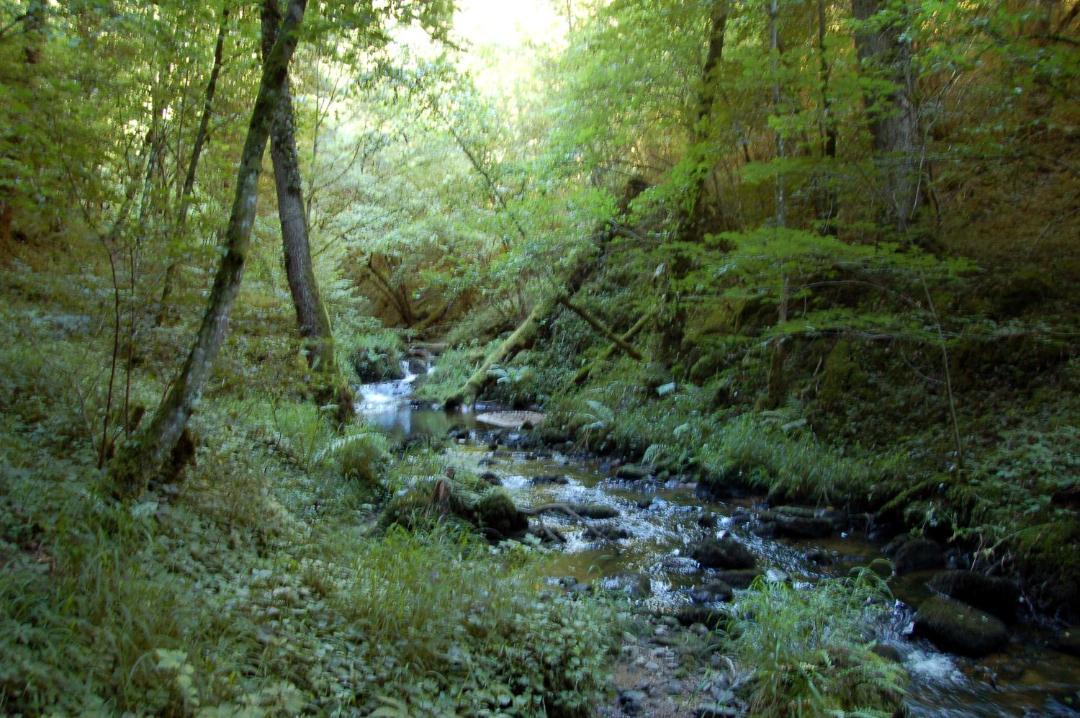 Photo of Others in Vollore-Montagne